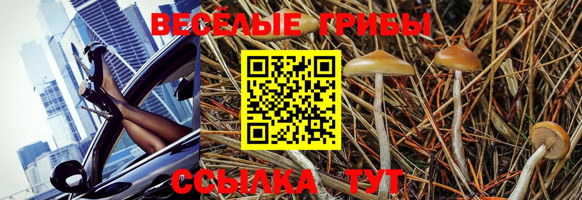 Павловский Посад  Псилоцибиновые грибы MAGIC MUSHROOMS  Вход с VPN  наркота  Галлюциногенные грибы GOLDEN TEACHER 